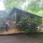 Ferienhaus Bucheneck Perfekt Für Familien&größere Gruppen Im Seenland Lausitz *