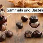 Ferienhaus Bucheneck Perfekt Für Familien&größere Gruppen Im Seenland Lausitz Kromlau
