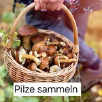 Ferienhaus Bucheneck Perfekt Für Familien&größere Gruppen Im Seenland Lausitz Kromlau