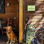Grosses Bucheneck Fuer Gruppen, Familien & Firmen 7 Schlafzimmer 3 Baeder Grosse Terrasse Nahe Rhododendronpark Holiday home Kromlau