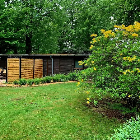 Сasa de vacaciones Bucheneck Perfekt Für Familien&größere Gruppen Im Seenland Lausitz