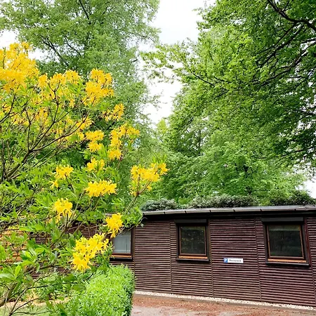 Bucheneck Perfekt Für Familien&größere Gruppen Im Seenland Lausitz Ferienhaus *
