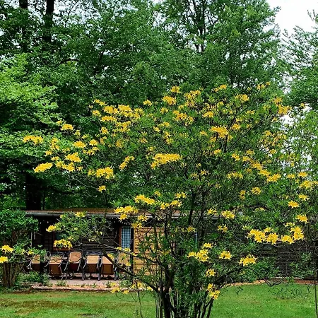 Сasa de vacaciones Bucheneck Perfekt Für Familien&größere Gruppen Im Seenland Lausitz *