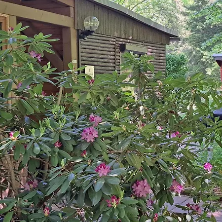 Nyaraló Bucheneck Perfekt Fuer Familien & Groessere Gruppen Im Seenland Lausitz