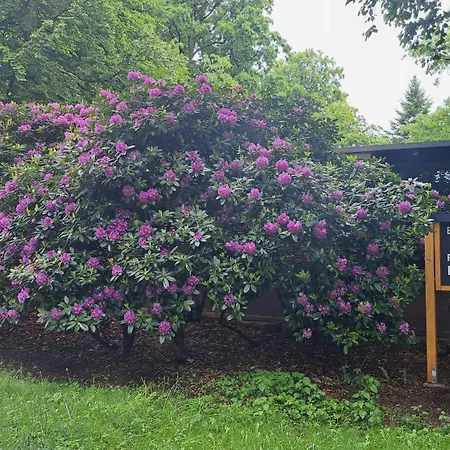 Bucheneck Perfekt Fuer Familien & Groessere Gruppen Im Seenland Lausitz Nyaraló Kromlau