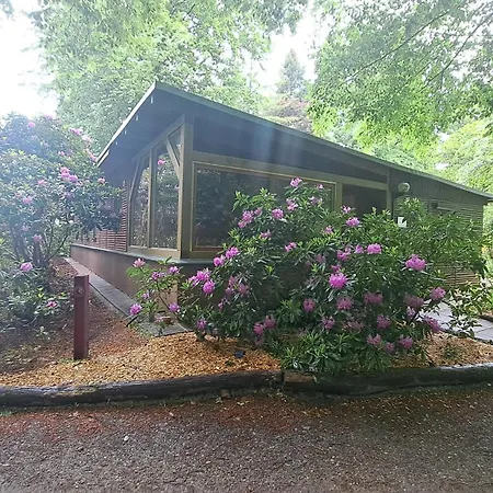 Сasa de vacaciones Bucheneck Perfekt Für Familien&größere Gruppen Im Seenland Lausitz *