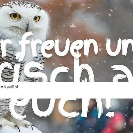 Bucheneck Perfekt Für Familien&größere Gruppen Im Seenland Lausitz Kromlau