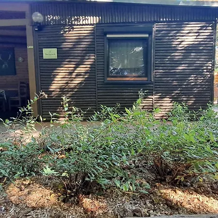 Сasa de vacaciones Bucheneck Perfekt Für Familien&größere Gruppen Im Seenland Lausitz