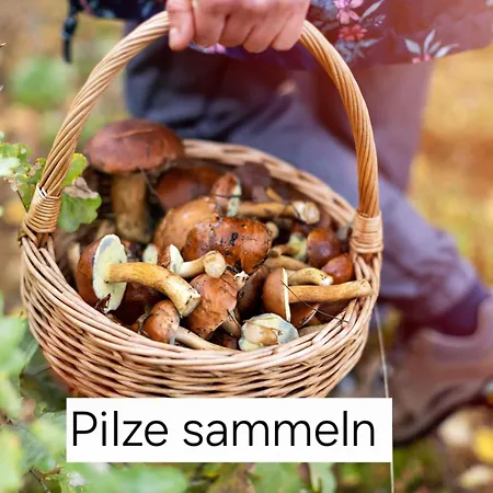 Сasa de vacaciones Bucheneck Perfekt Für Familien&größere Gruppen Im Seenland Lausitz Kromlau