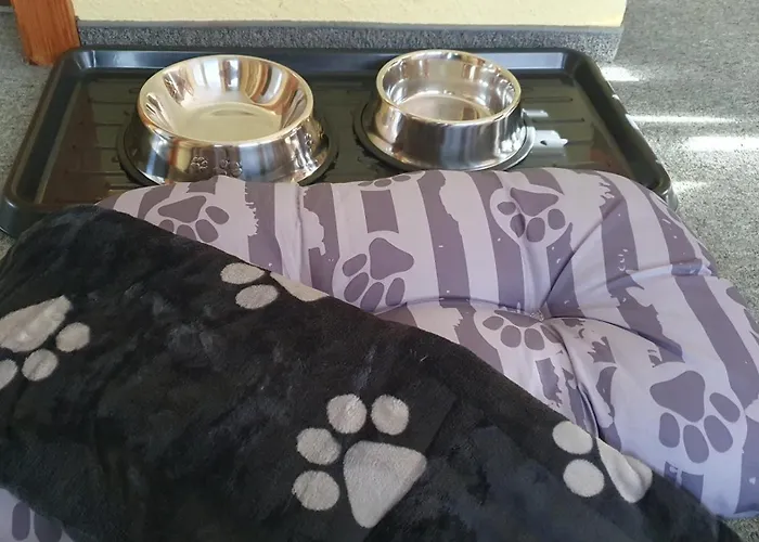 Bucheneck Perfekt Fuer Familien & Groessere Gruppen Im Seenland Lausitz بيت للعطل *