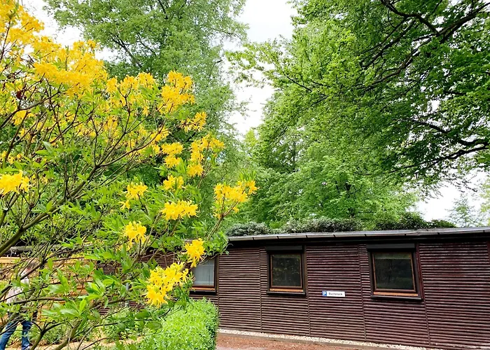 Bucheneck Perfekt Fuer Familien & Groessere Gruppen Im Seenland Lausitz בית נופש *