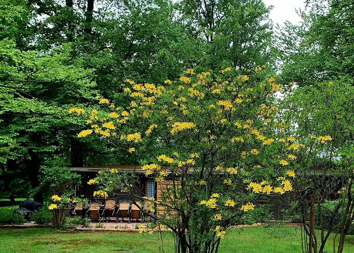 בית נופש Bucheneck Perfekt Fuer Familien & Groessere Gruppen Im Seenland Lausitz *