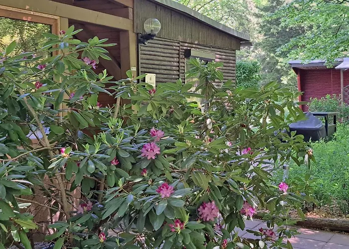 بيت للعطل Bucheneck Perfekt Fuer Familien & Groessere Gruppen Im Seenland Lausitz