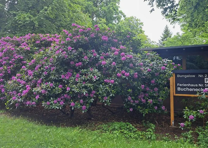 Bucheneck Perfekt Fuer Familien & Groessere Gruppen Im Seenland Lausitz בית נופש Kromlau