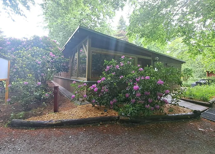 別荘 Bucheneck Perfekt Fuer Familien & Groessere Gruppen Im Seenland Lausitz *