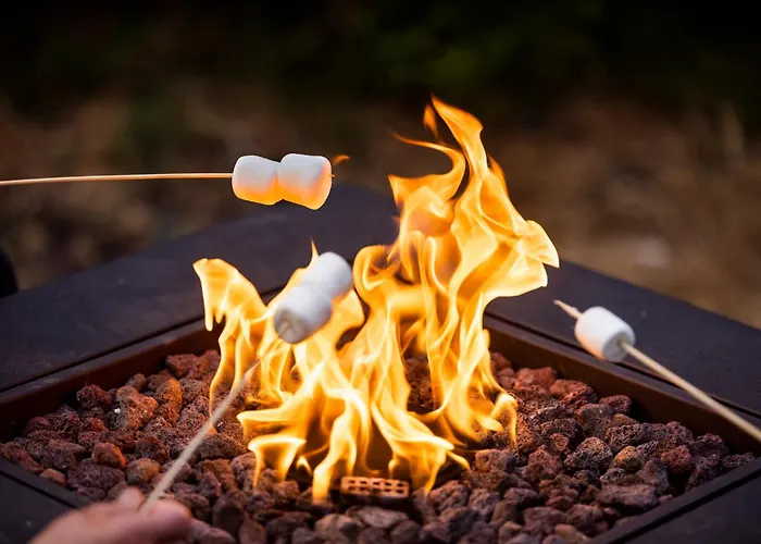 Bucheneck Perfekt Fuer Familien & Groessere Gruppen Im Seenland Lausitz * Kromlau