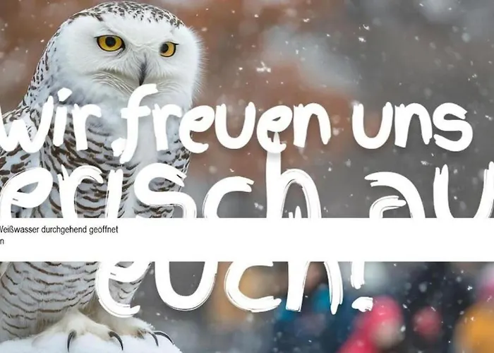 Bucheneck Perfekt Fuer Familien & Groessere Gruppen Im Seenland Lausitz Kromlau