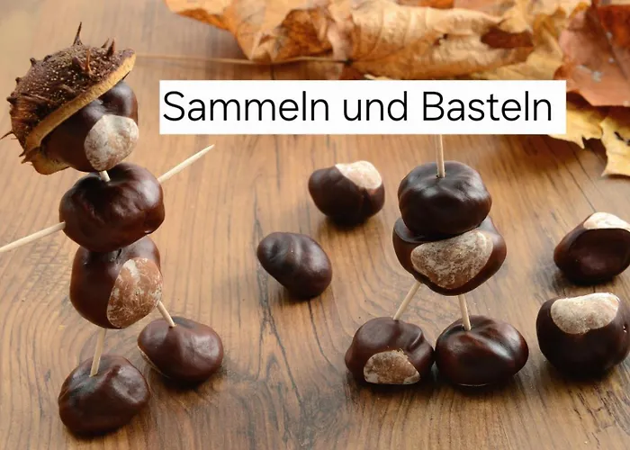 別荘 Bucheneck Perfekt Fuer Familien & Groessere Gruppen Im Seenland Lausitz Kromlau