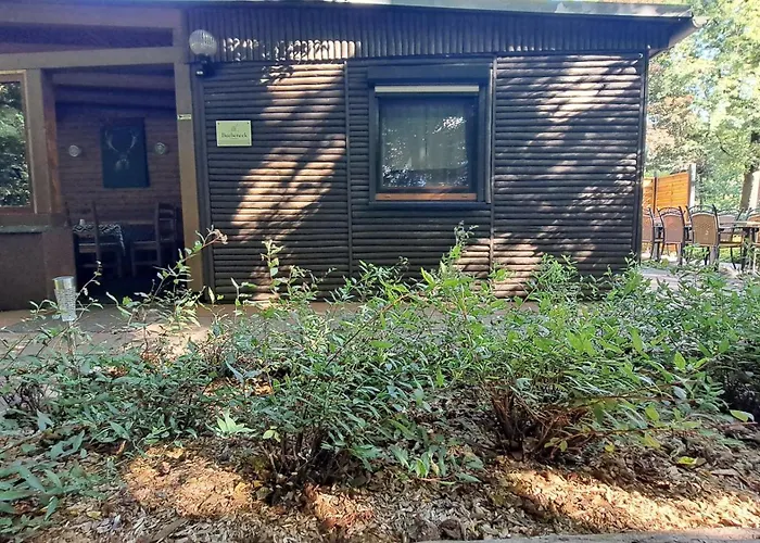 بيت للعطل Bucheneck Perfekt Fuer Familien & Groessere Gruppen Im Seenland Lausitz