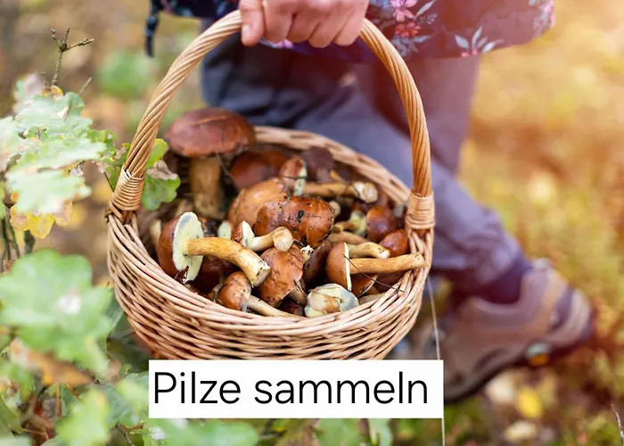 別荘 Bucheneck Perfekt Fuer Familien & Groessere Gruppen Im Seenland Lausitz Kromlau
