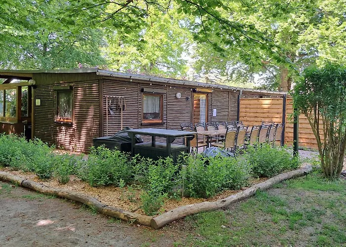 Bucheneck Perfekt Fuer Familien & Groessere Gruppen Im Seenland Lausitz بيت للعطل *